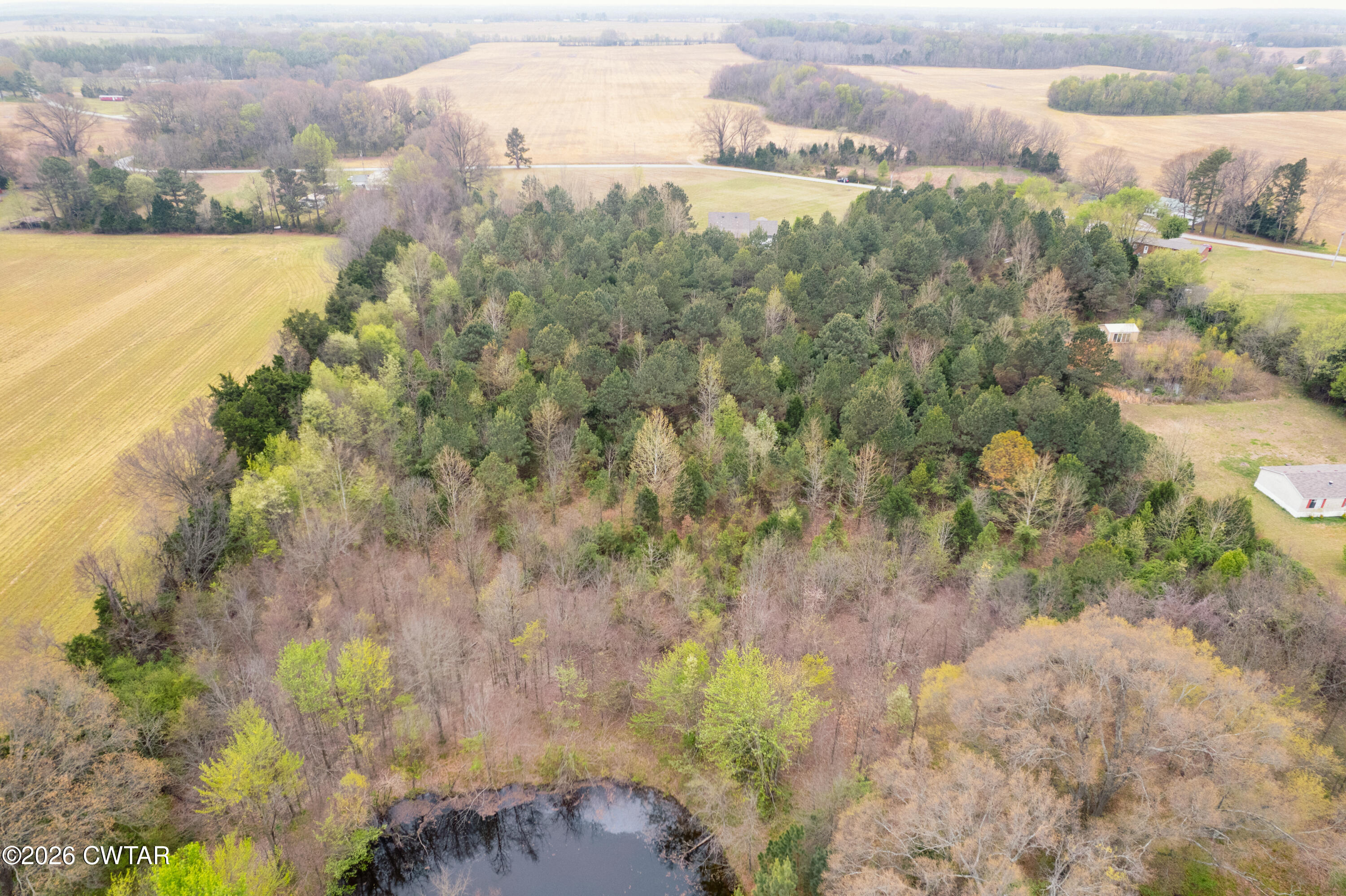 1586 Love Road Bells, TN 38006 - Photo 35 of 42 DJI_0217
