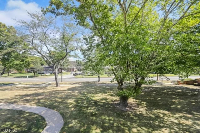 a view of a yard with plants and trees