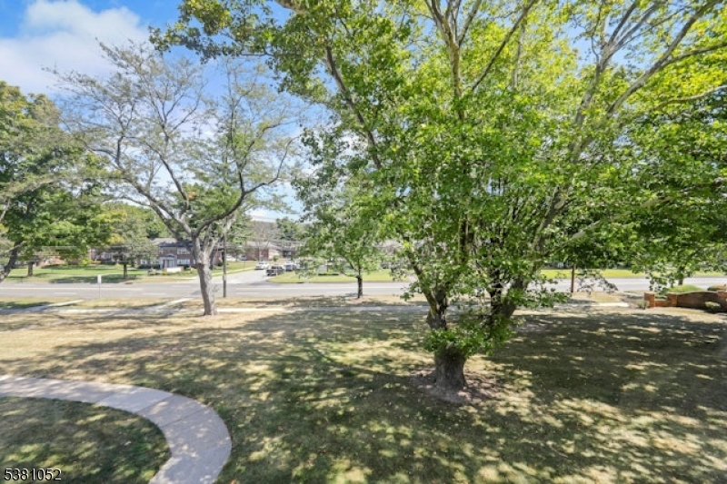 1285 Valley Road Wayne, NJ 07470 - Photo 24 of 33 a view of yard with tree