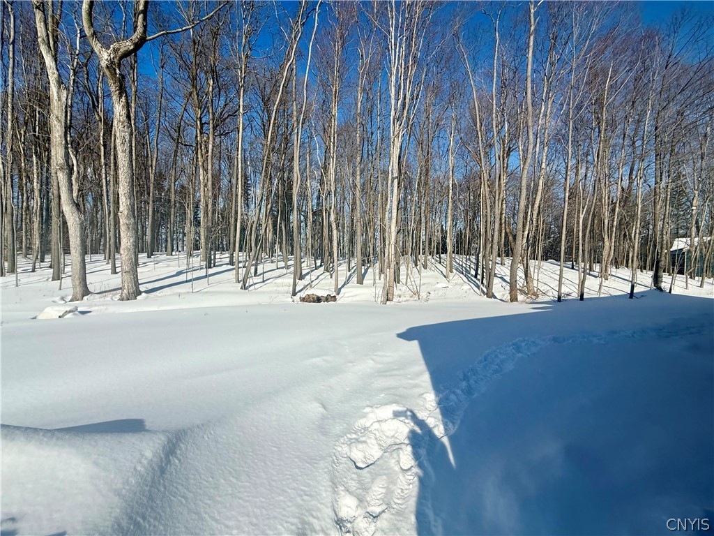 Lot#2 Harrington Terrace Manlius, NY 13104 - Photo 5 of 29
