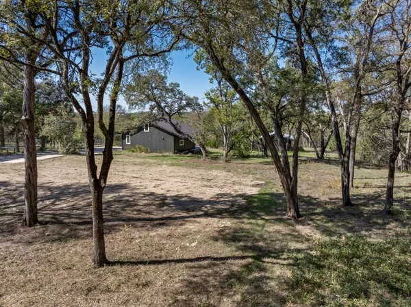 a view of backyard with tree