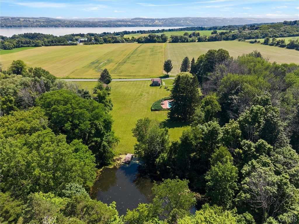 1631 Albring Road Skaneateles, NY 13152 - Photo 48 of 50