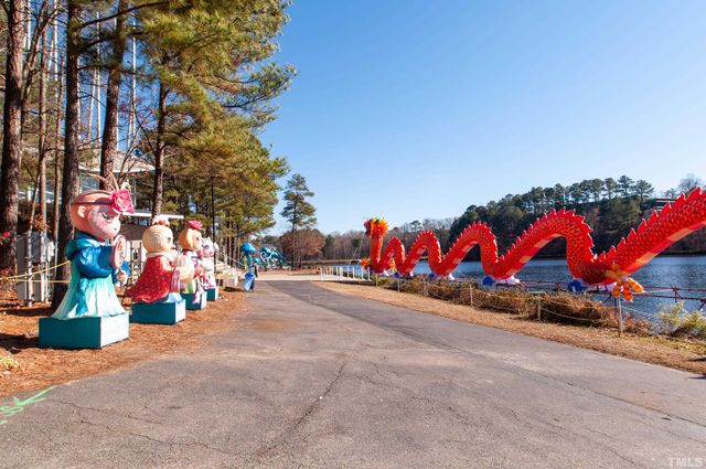 an outdoor space with lots of stuff and plants