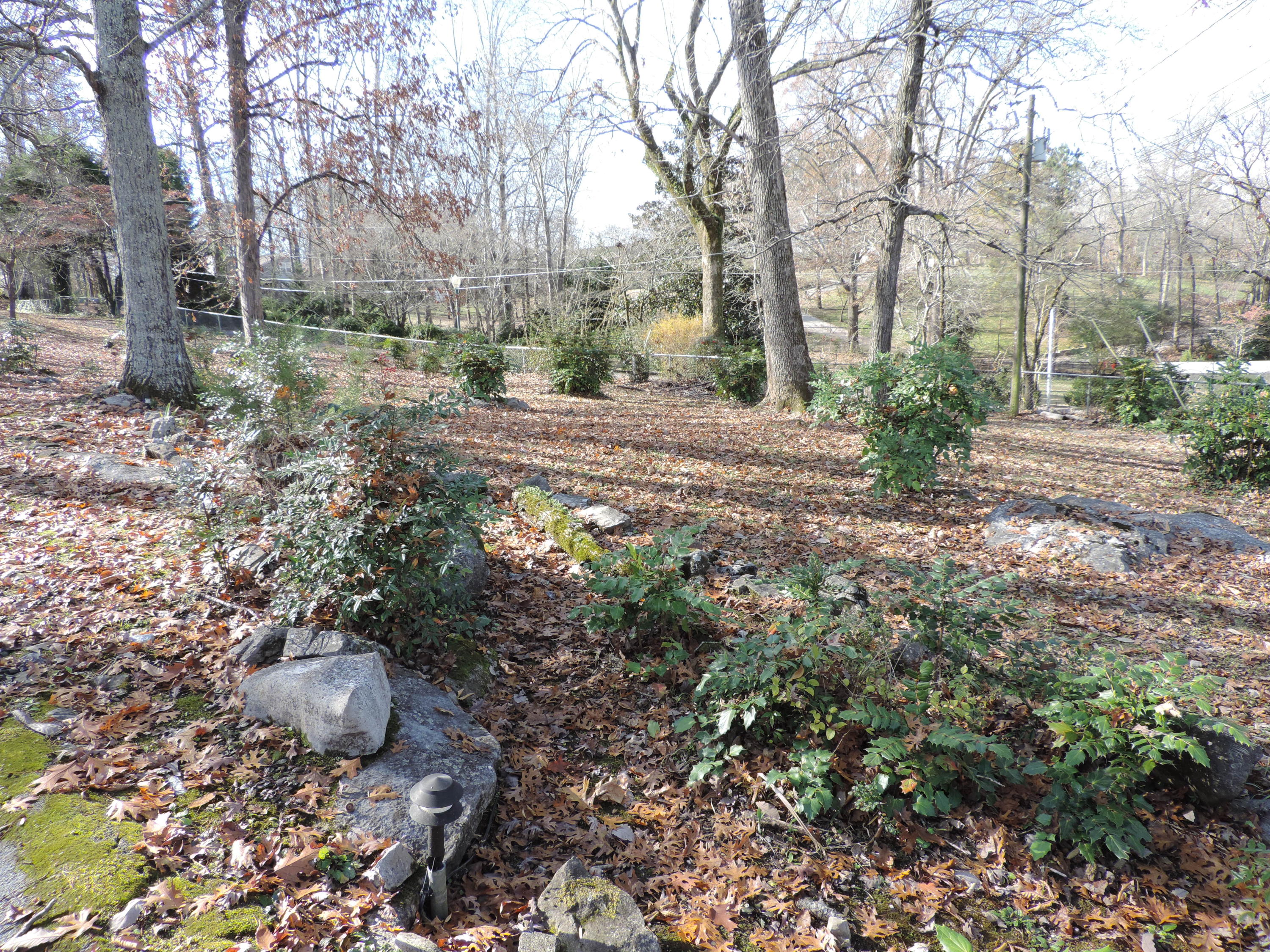 2427 Stonesage Road, Unit 9A Soddy Daisy, TN 37379 - Photo 15 of 26 DSCN1569