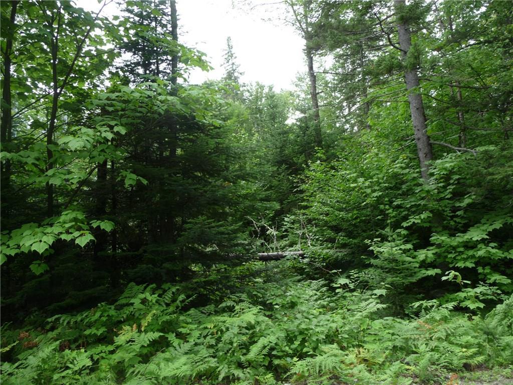 2032 Hillside Road Kingfield, ME 04947 - Photo 8 of 10 This area seems to lend itself to a...