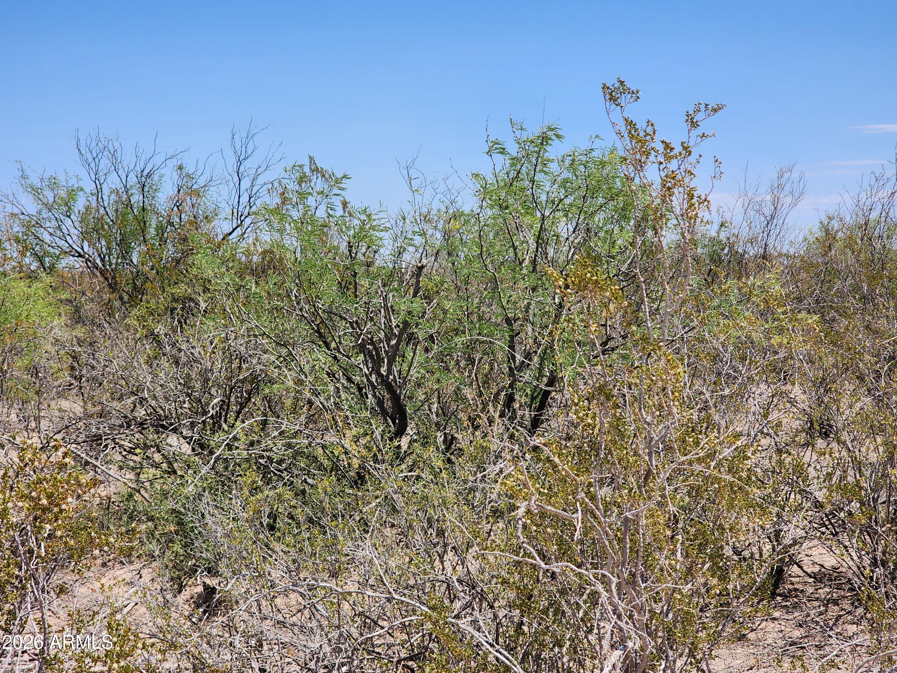 Lot B Bowers Road, Unit 21 Huachuca City, AZ 85616 - Photo 2 of 5 20260609_110841