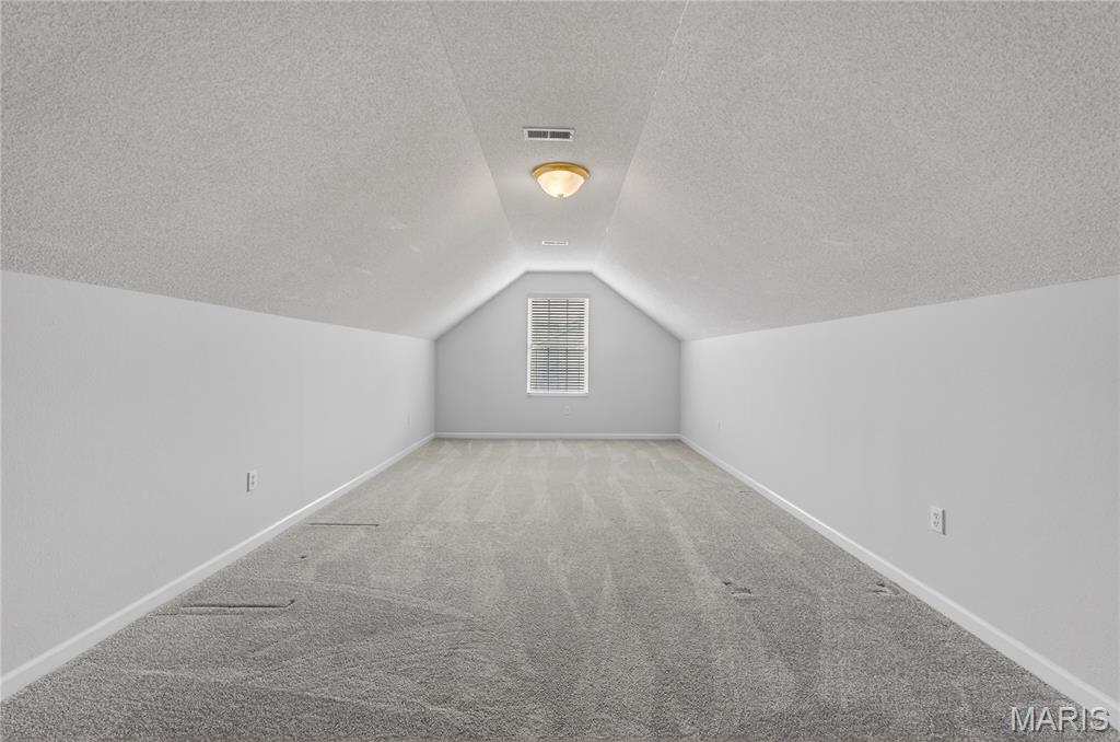 257 Emerald Way East Pontoon Beach, IL 62040 - Photo 28 of 39