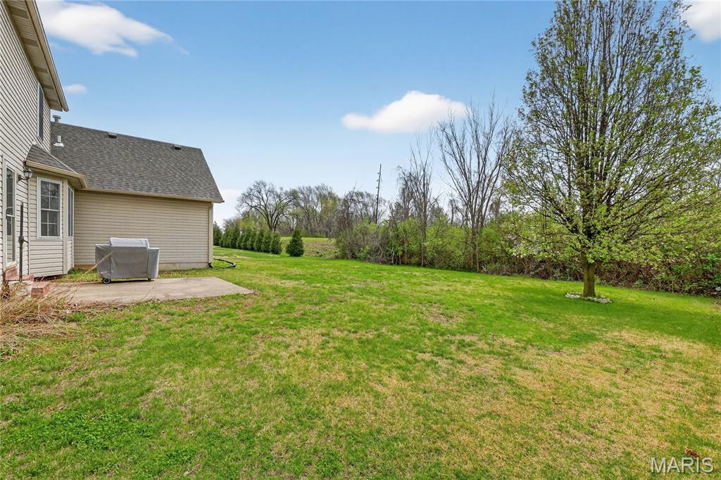 257 Emerald Way East Pontoon Beach, IL 62040 - Photo 33 of 39