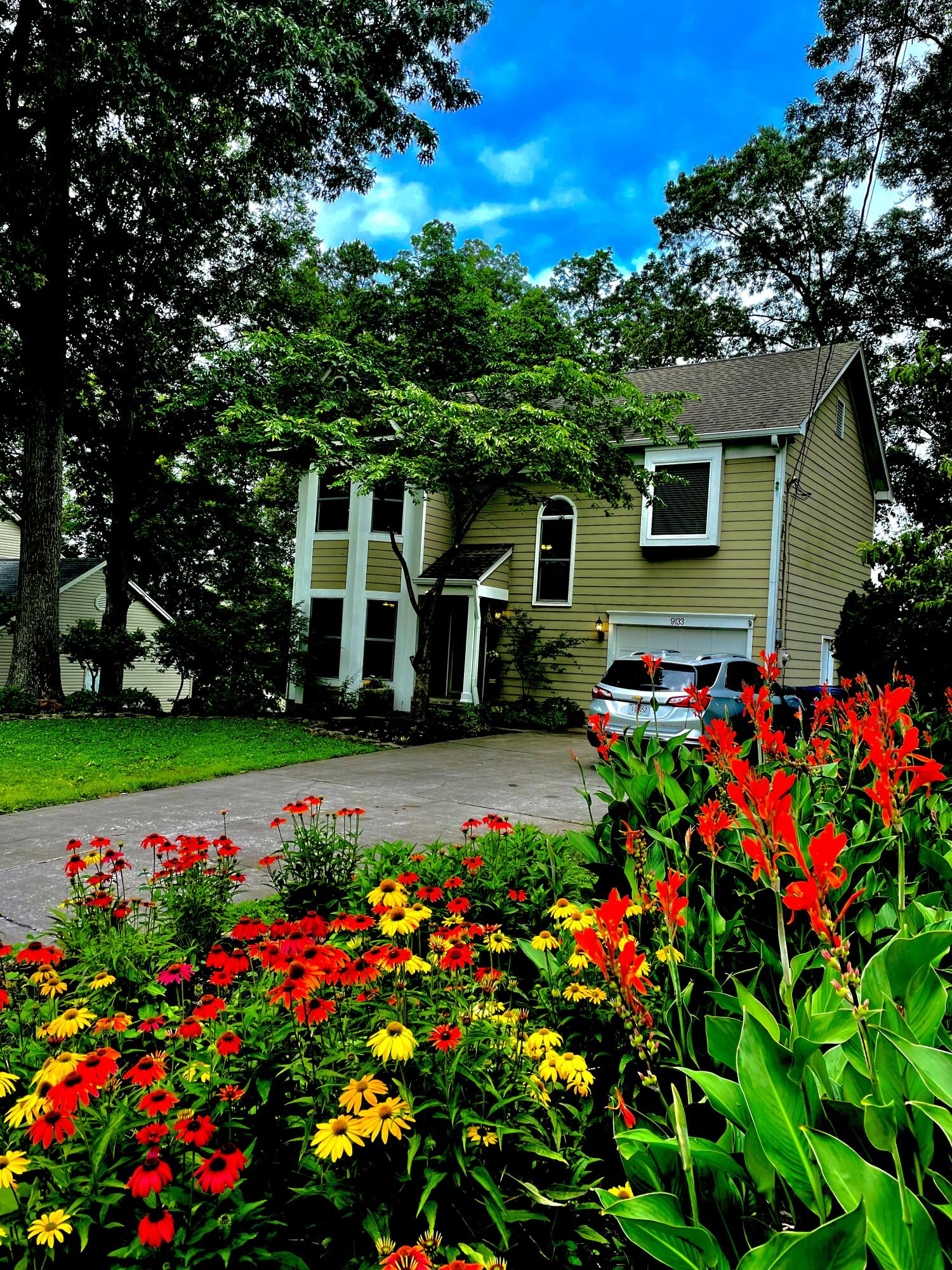 9133 Colchester Ridge Road Knoxville, TN 37922 - Photo 35 of 36 0E875574-93BA-4A88-A851-C94D538E38CC