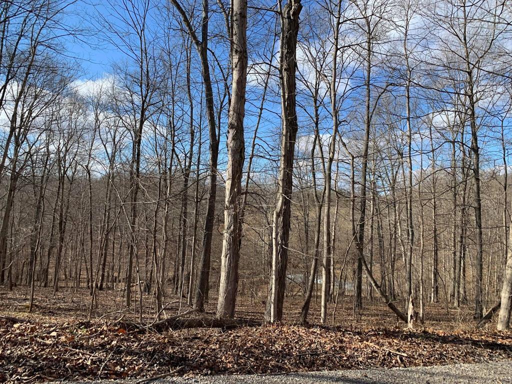 0 Pennington Road Waverly, OH 45690 - Photo 4 of 10 p4
