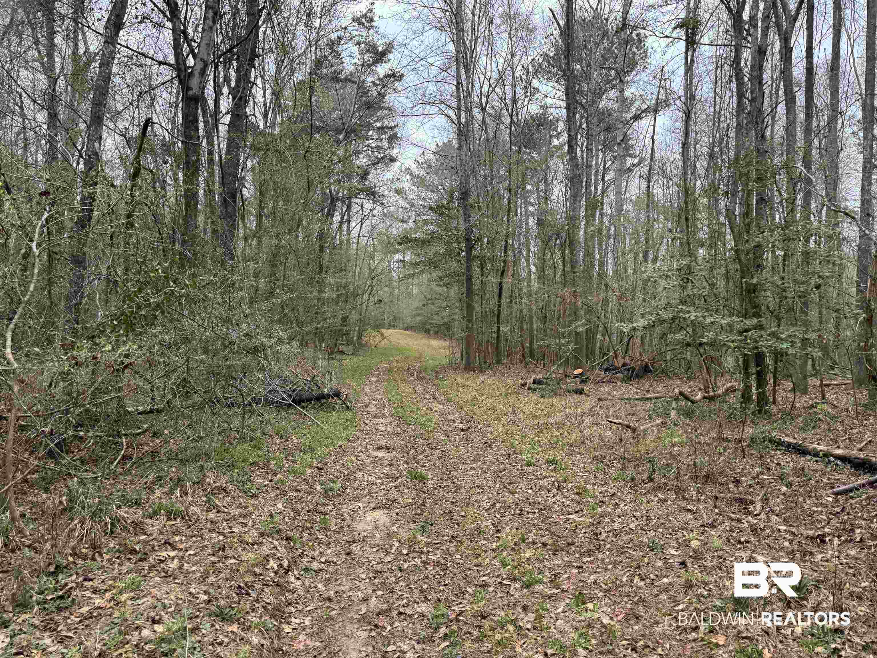 0 Cement Plant Road Jackson, AL 36545 - Photo 18 of 22