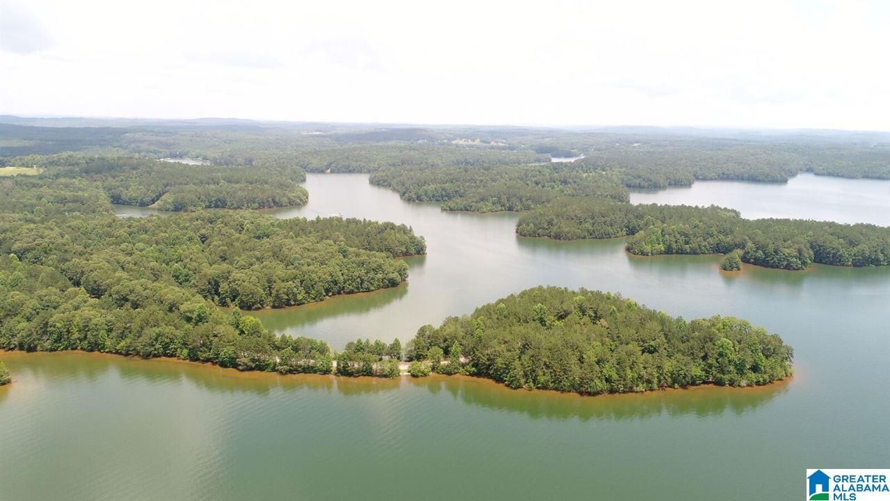 Lot # Jackson Trail, Unit 15 Lineville, AL 36266 - Photo 11 of 17