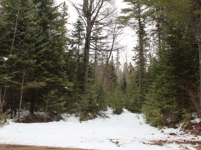 Three Old Military Road Three Lakes, WI 54562 - Photo 7 of 10 Gallery Image 7