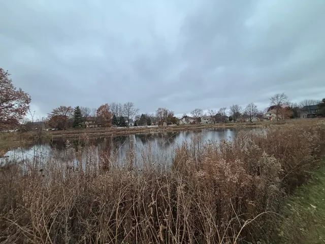 a view of a green field