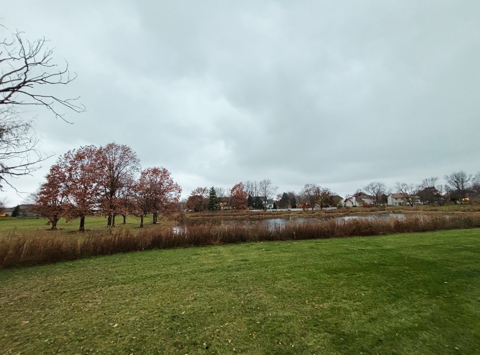 1207 Quail Run Avenue Bolingbrook, IL 60490 - Photo 17 of 48 a view of a green field