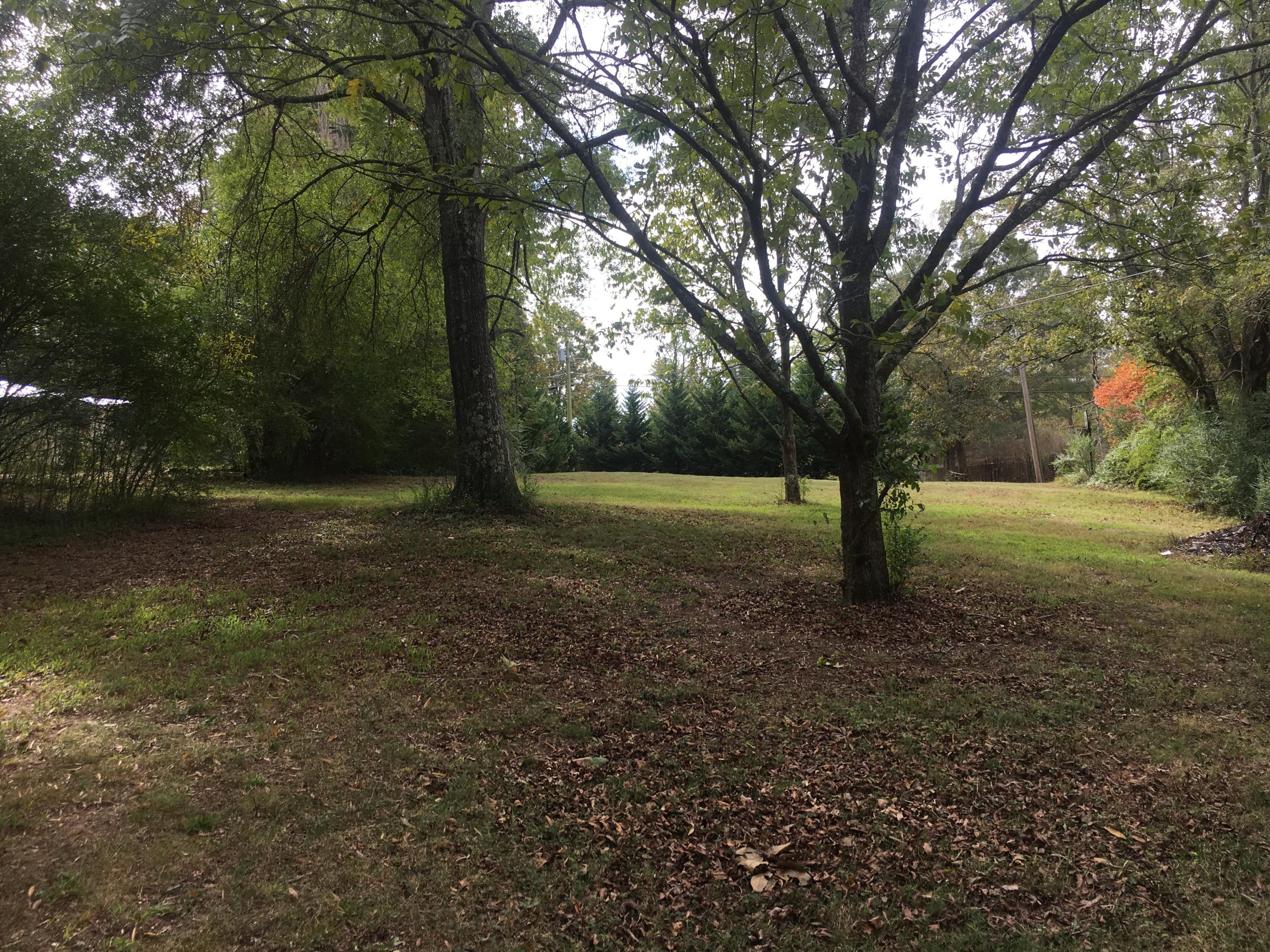 open land view