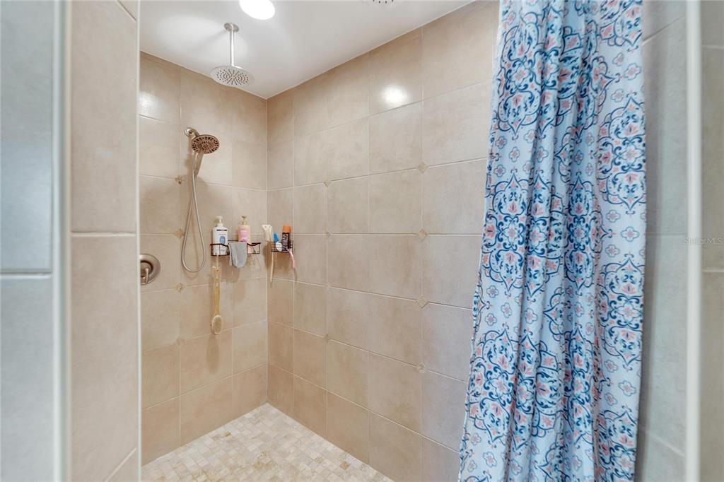 3790 Moores Lake Road Dover, FL 33527 - Photo 20 of 56 walk in shower