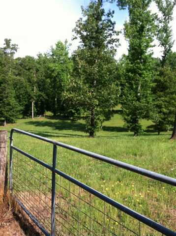 a view of park from a window