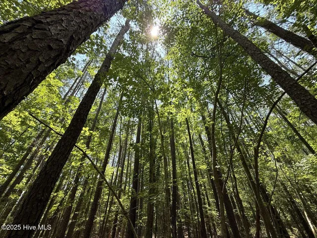 $89,900 | Lot 95 Carolina Shores, Bath, NC 27808