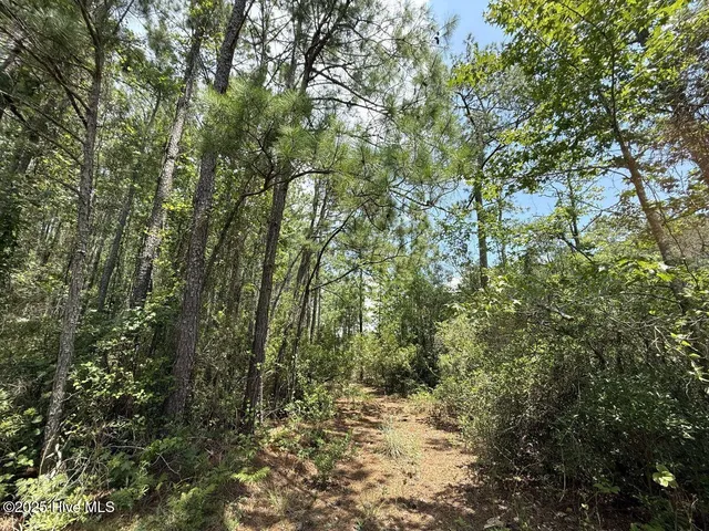 $89,900 | Lot 95 Carolina Shores, Bath, NC 27808