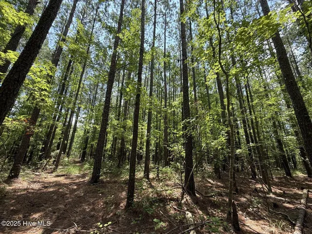 $89,900 | Lot 95 Carolina Shores, Bath, NC 27808