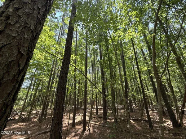 $69,900 | Lot 95 Carolina Shores, Bath, NC 27808