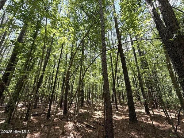 $69,900 | Lot 95 Carolina Shores, Bath, NC 27808