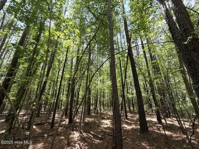 $89,900 | Lot 95 Carolina Shores, Bath, NC 27808