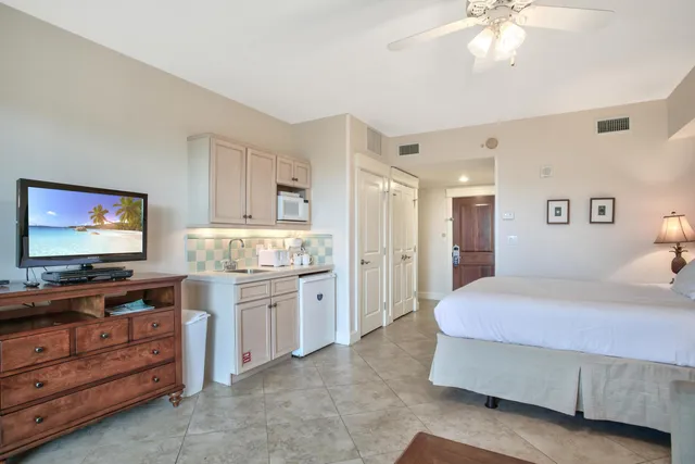 a bedroom with a bed and a flat screen tv