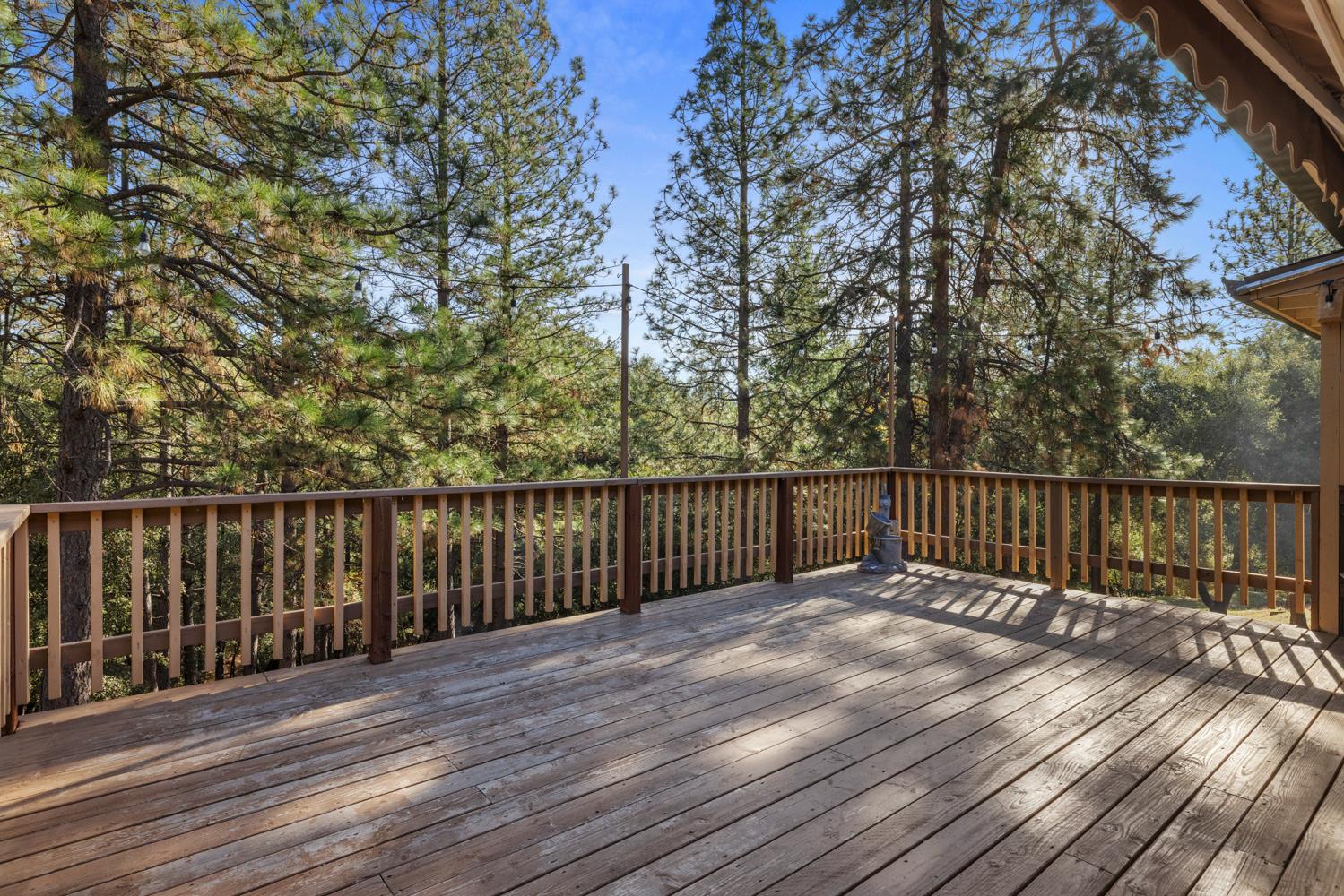 11650 Clinton Bar Road Pine Grove, CA 95665 - Photo 36 of 57