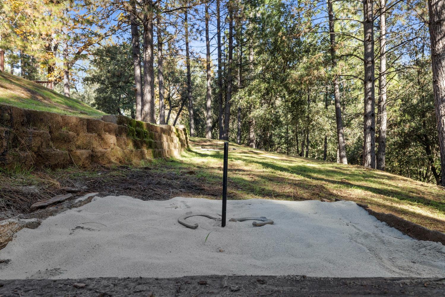 11650 Clinton Bar Road Pine Grove, CA 95665 - Photo 46 of 57