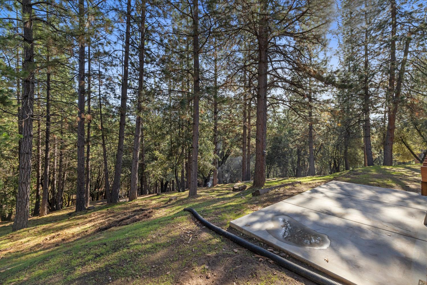 11650 Clinton Bar Road Pine Grove, CA 95665 - Photo 48 of 57