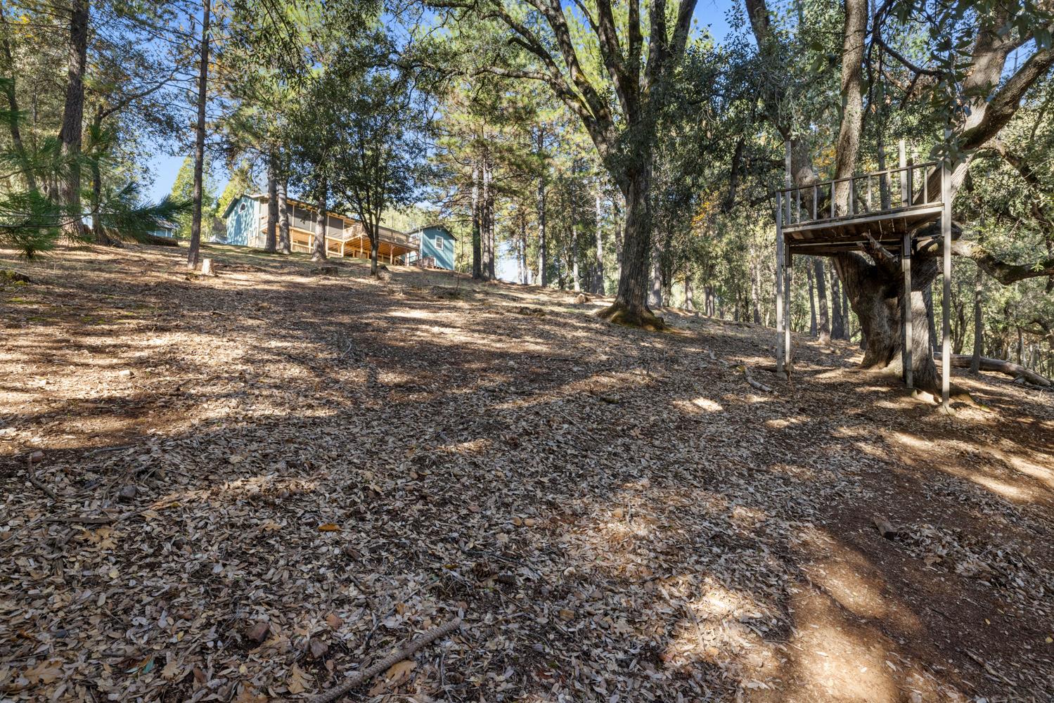 11650 Clinton Bar Road Pine Grove, CA 95665 - Photo 53 of 57