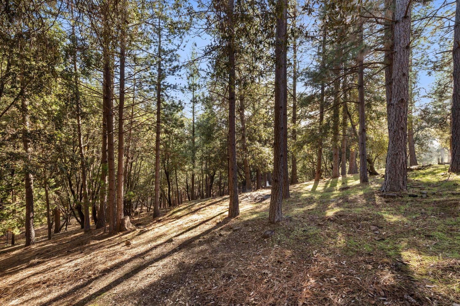 11650 Clinton Bar Road Pine Grove, CA 95665 - Photo 55 of 57