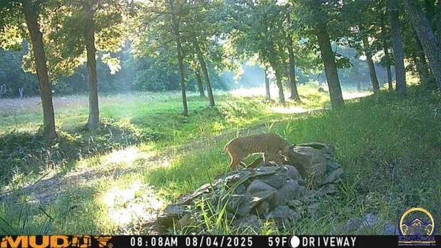 $1,600,000 | 16008 62nd Street, Oskaloosa, KS 66066