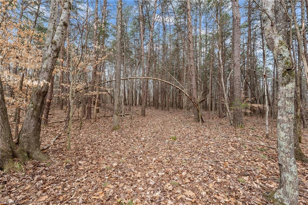 8729 A Allison Road Cedar Grove, NC 27231 - Photo 12 of 23