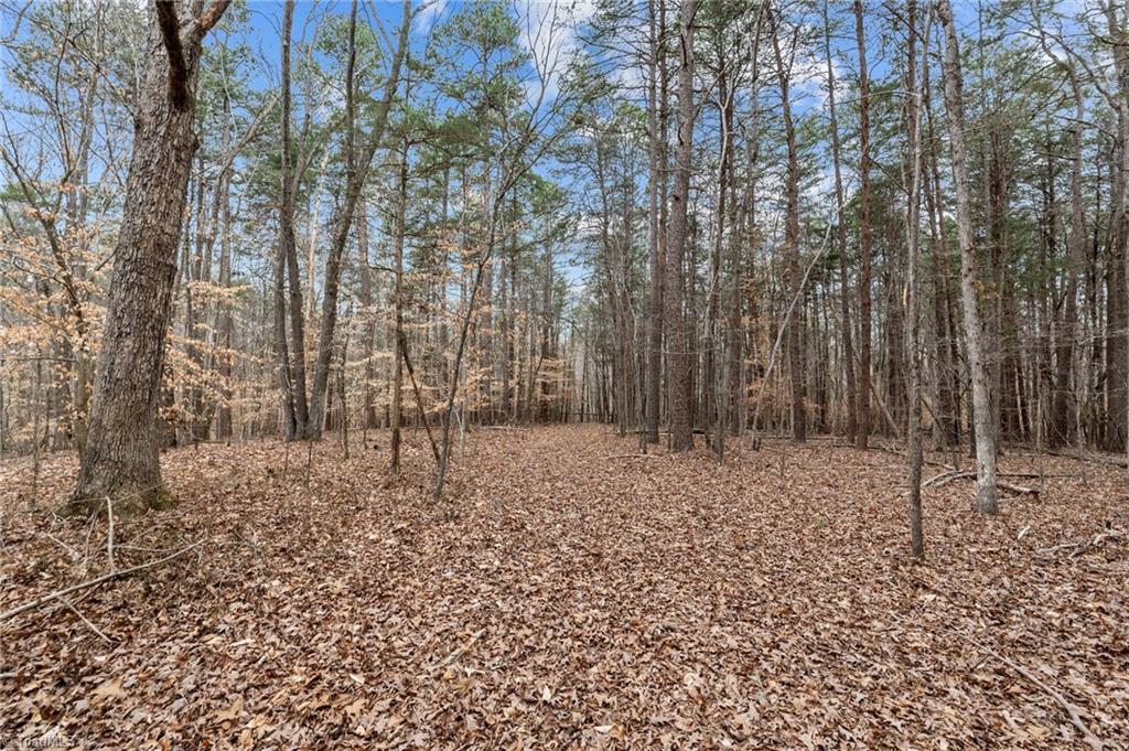 8729 A Allison Road Cedar Grove, NC 27231 - Photo 13 of 23