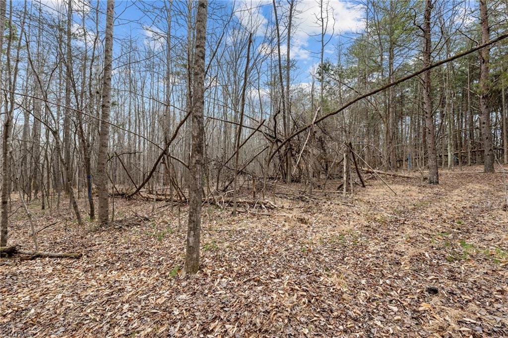 8729 A Allison Road Cedar Grove, NC 27231 - Photo 14 of 23