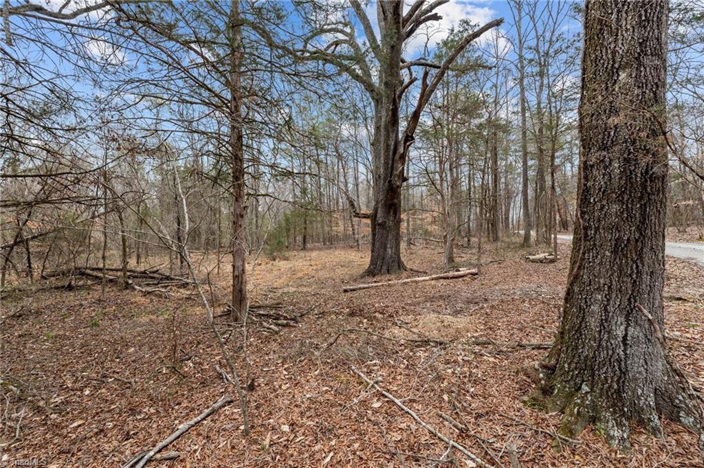 8729 A Allison Road Cedar Grove, NC 27231 - Photo 9 of 23