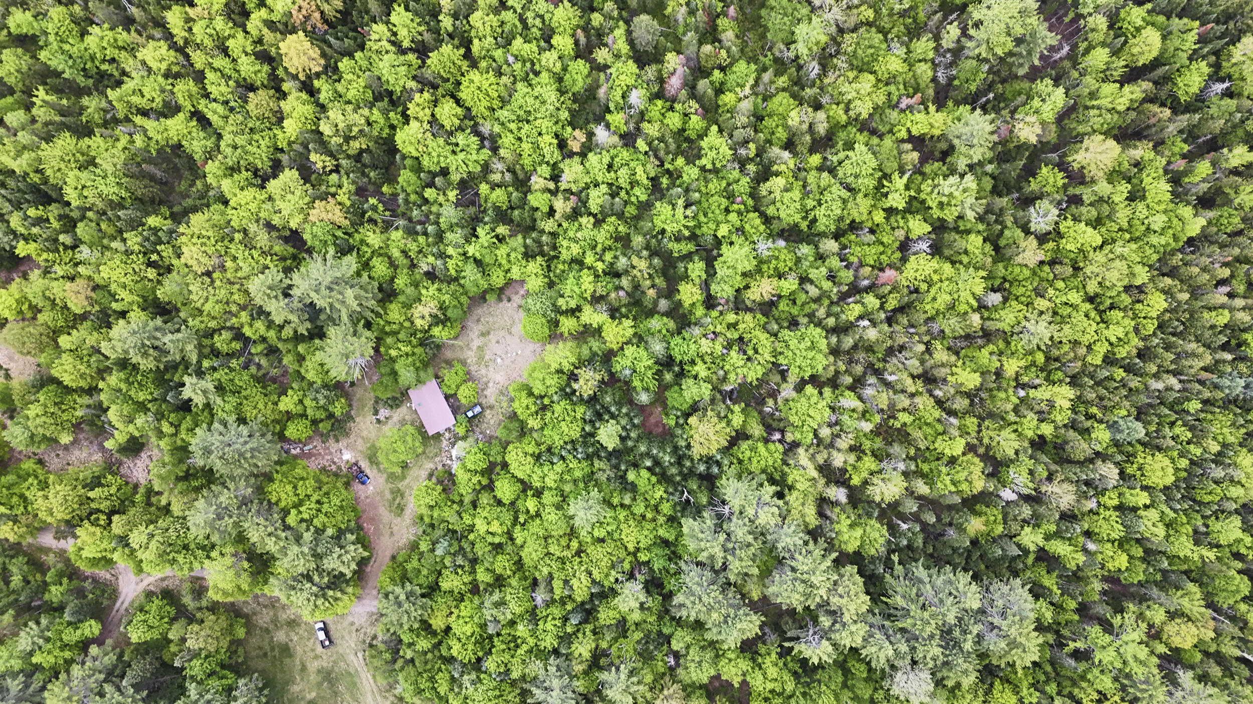 M2-l21-3 South Ridge Road Palmyra, ME 04965 - Photo 5 of 7 363_s_ridge_rd_vacant_lot_2-5