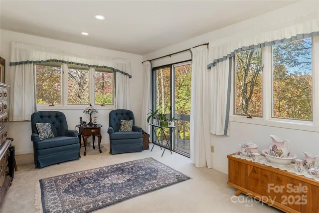 a living room with furniture and a large rug