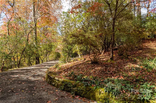 a view of a yard with plants and trees