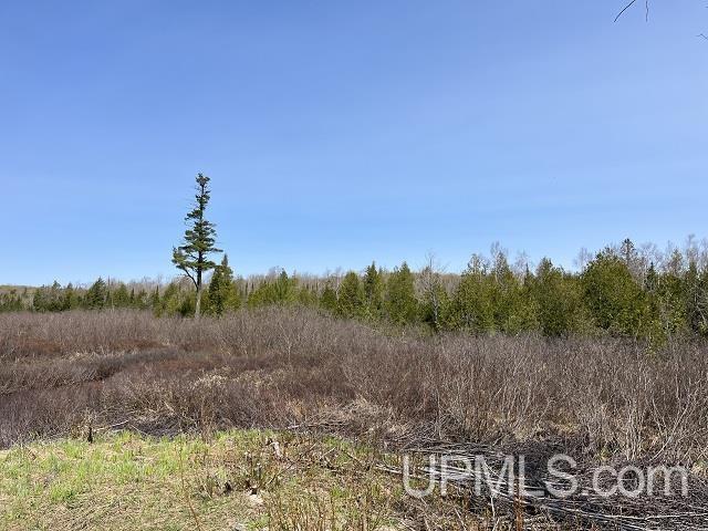 40-acres Little Lake Road Gwinn, MI 49841 - Photo 16 of 25