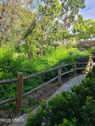 a view of a bunch of flowers