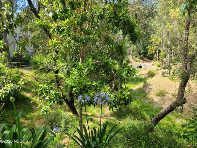a view of front door