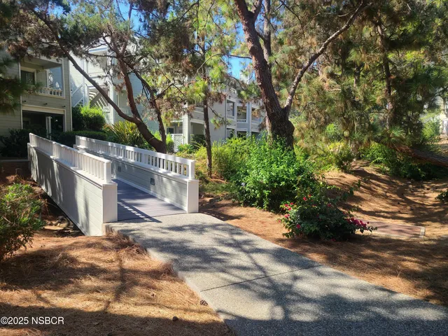 a view of a yard with plants and trees