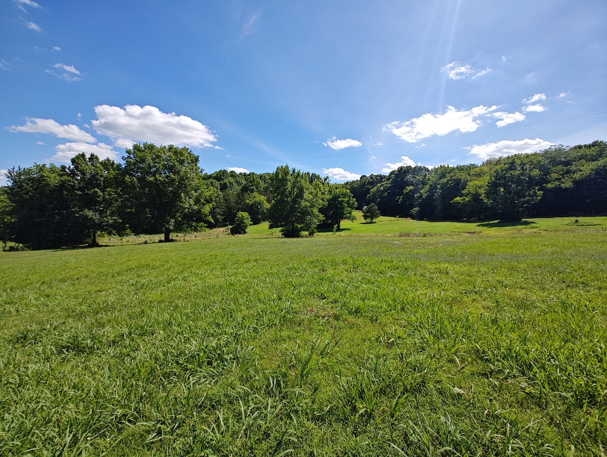 2770 Beech Log Road Watertown, TN 37184 - Photo 74 of 87 a view of an outdoor space and a yard