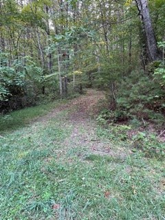 1094 Baltimore Road Hillsville, VA 24343 - Photo 39 of 41 Gallery Image 39