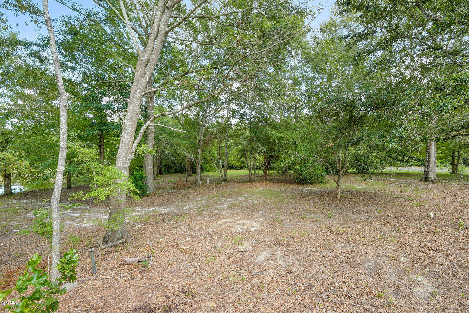 29318 West Dubuisson Road Pass Christian, MS 39571 - Photo 20 of 25 019_1600x1067_mls_1600x1067