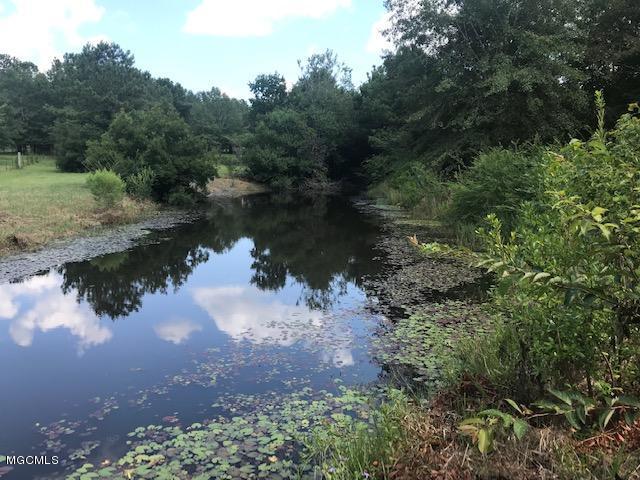 29318 West Dubuisson Road Pass Christian, MS 39571 - Photo 24 of 25 Edith3